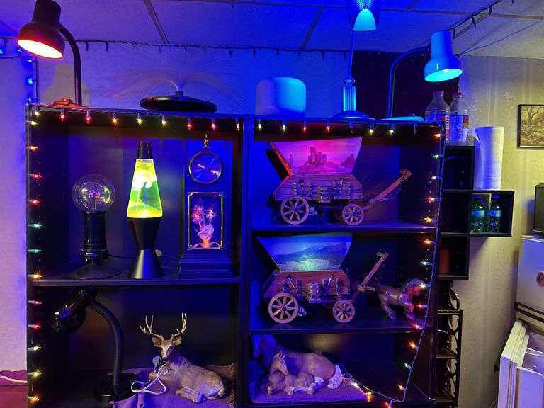 Contents of Shelf (shelf excluded) lava lamp & misc decorative lamps.