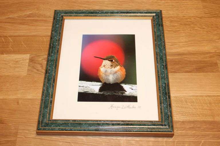 Framed Hummingbird Photograph by Karyn Wethbee (2008)