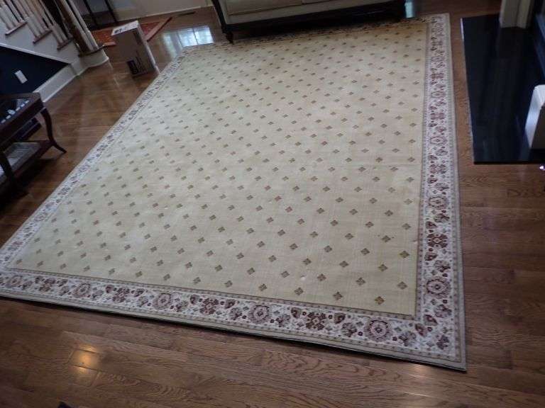 Large Area Rug w/carpet padding 12' x 10'