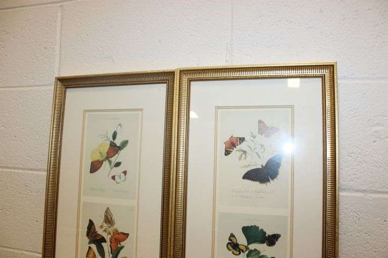 Butterfly Prints