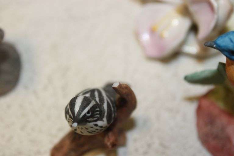 Bird & Turtle Figures