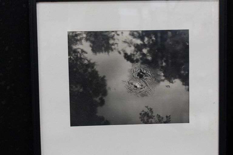 Framed Abstract Photography and Artwork Pair