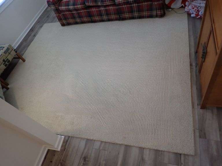 10ft x 8ft Area Rug