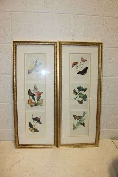 Butterfly Prints