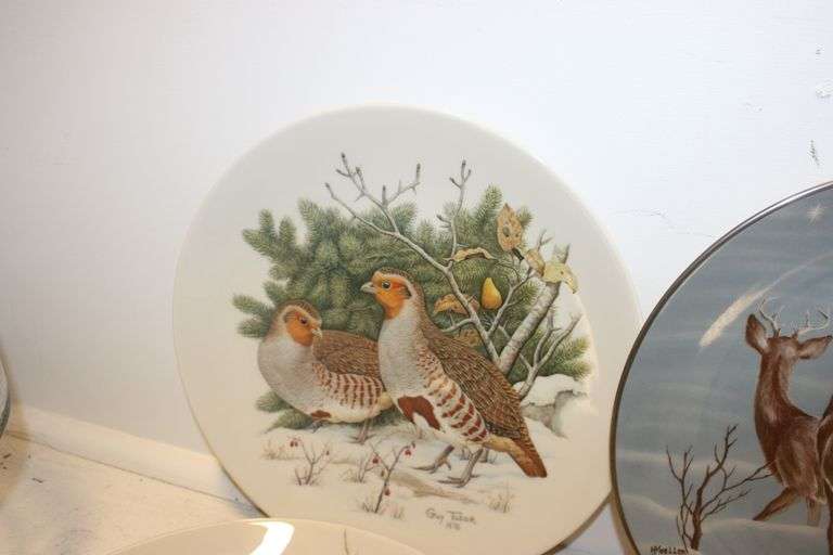 Animal & Bird Plates