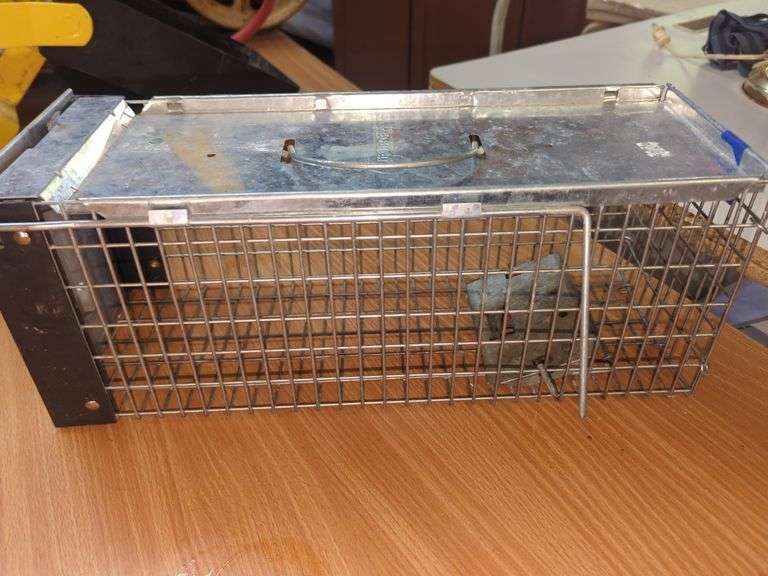 Animal trap