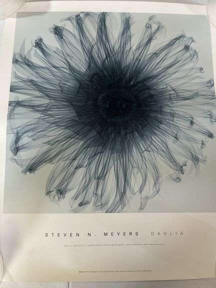 Steven Meyers Art Poster