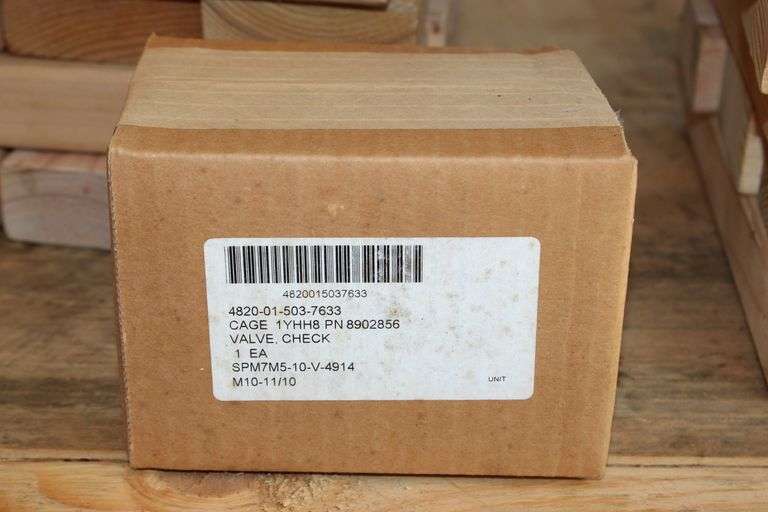 Check Valve