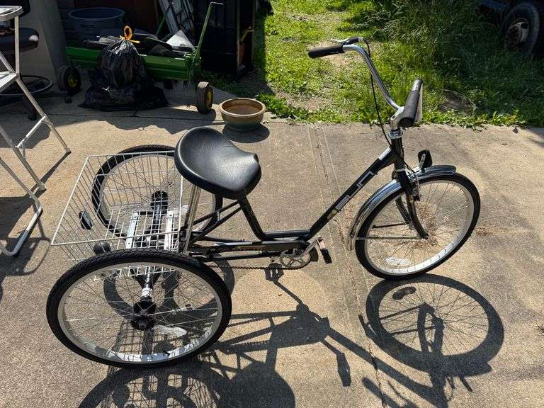 Adult Tricycle
