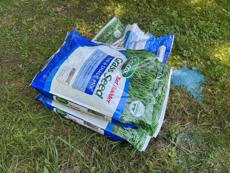 Grass Seed