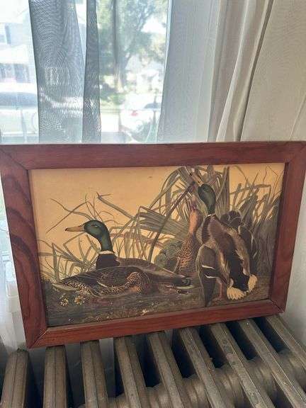 Pair of Framed Duck and Game Bird Prints