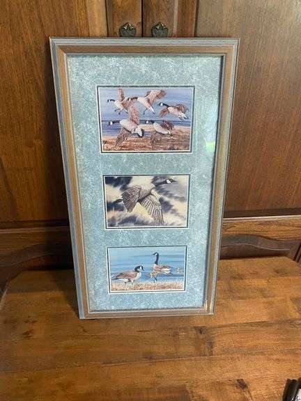Framed Canada Goose Art Print Set