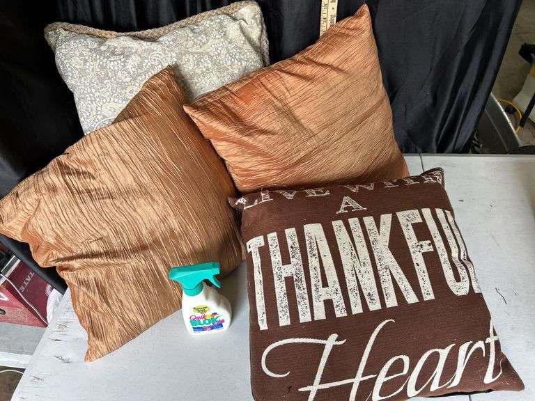 4 Assorted Decor Pillows
