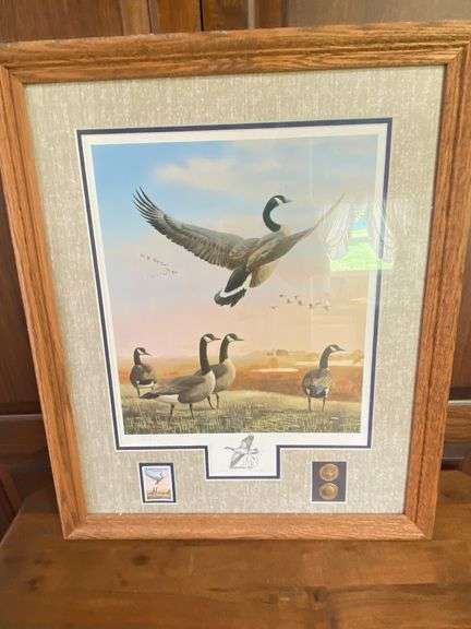 Framed Canada Goose Prints