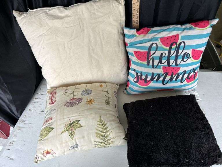 4 Assorted Decor Pillows