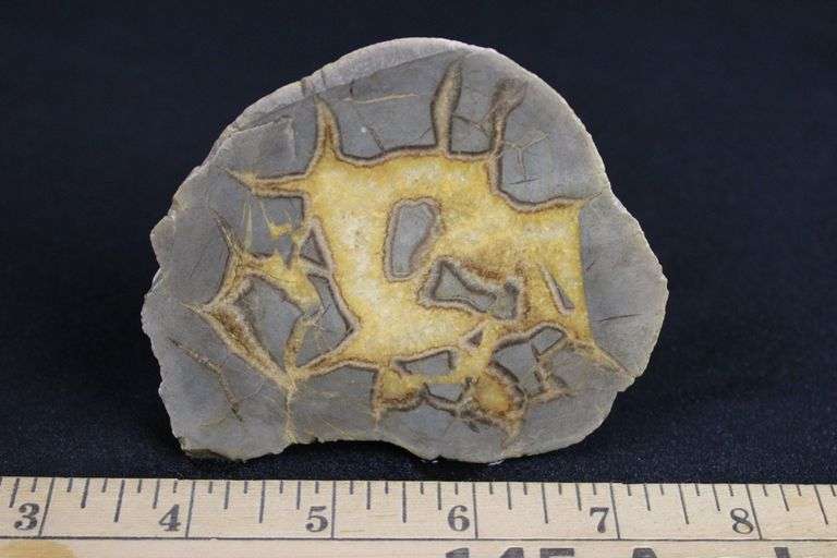 Septarian