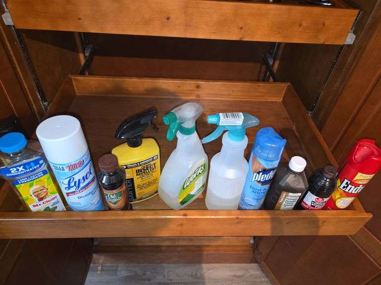 Various cleaning items