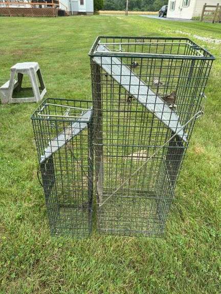 Live Traps