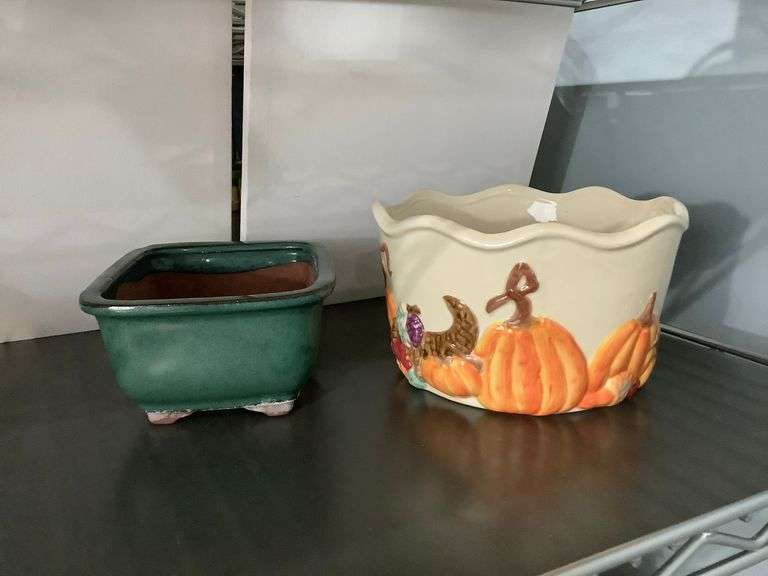 Plant in These