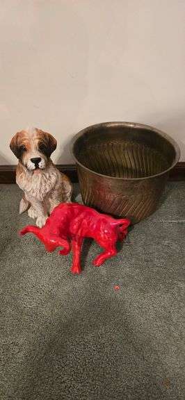 Dog,  bull broken back leg,  tin pot