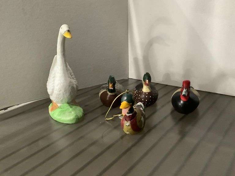 Duck Variety