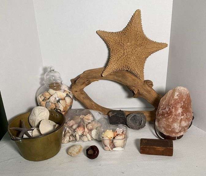 Nature’s Treasures