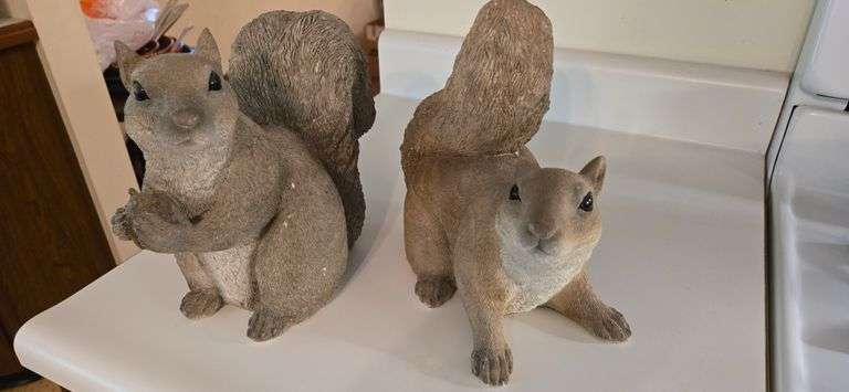 Squirrels