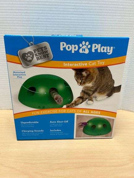 Pop n’ Play Interactive Cat Toy – Pets Know Best