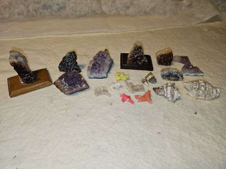 Geodes, Shells, Coral