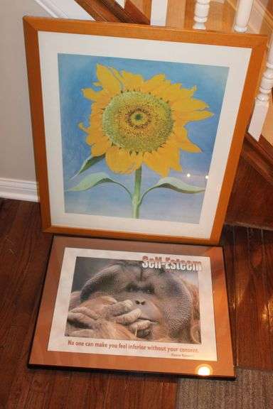 Sunflower & Ape Prints