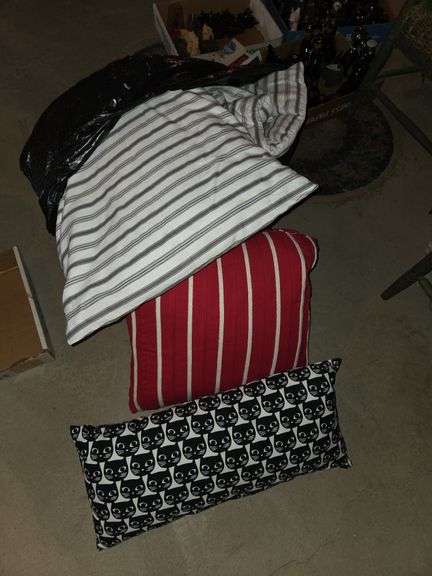 Pillows and comforter