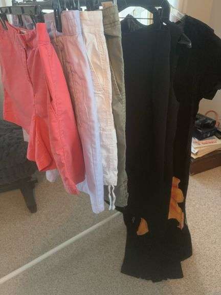 Woman’s size 12 shorts/dresses