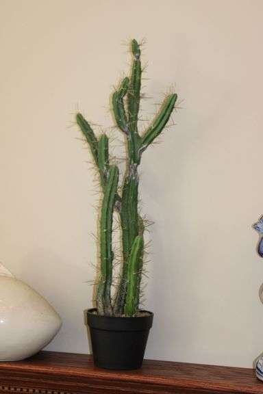 Faux Cactus Plant