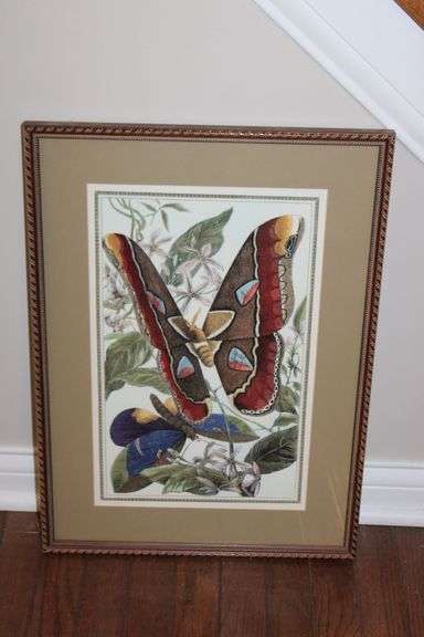 Moths Print