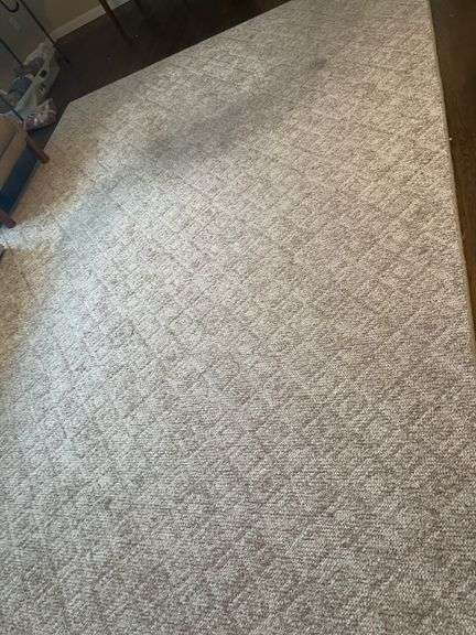 Large Area Rug