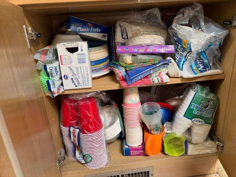 Disposable Party Supplies Including Cups, Utensils, and Straws