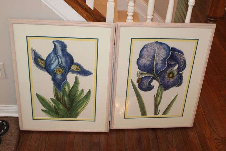 Botanical Prints