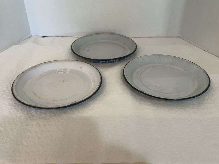 Antique Enamel Plates