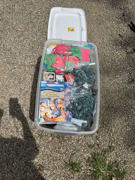 Storage Bin Containing Holiday Decorations, Holiday Lights, and Book