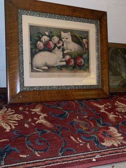 Cat picture
