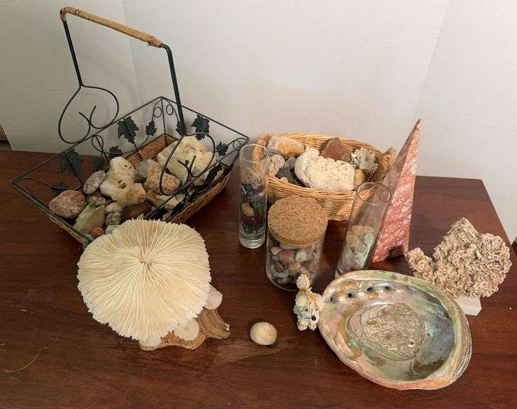 Land and Sea Collection