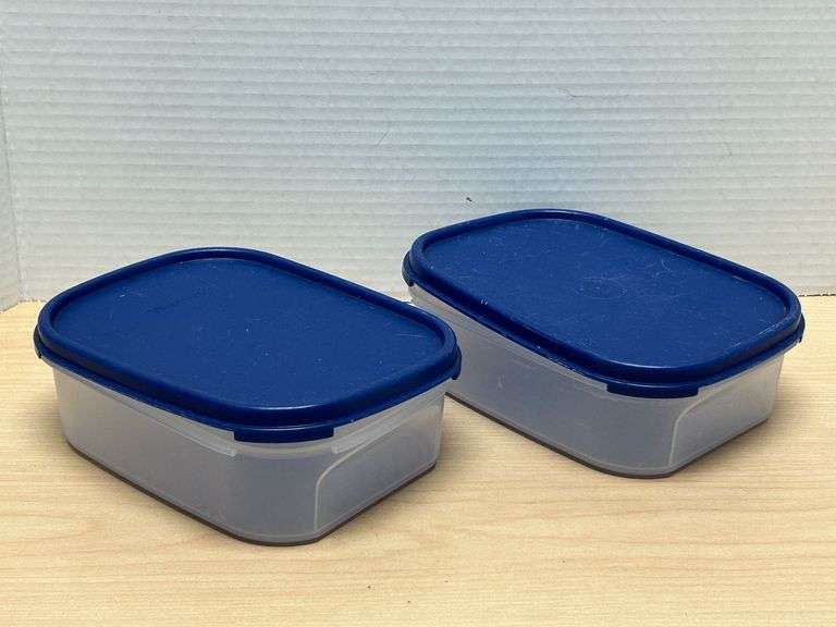 Two Tupperware Storage Containers with Blue Lids - Auction Ohio