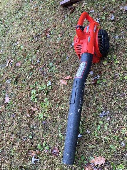Echo Leaf Blower