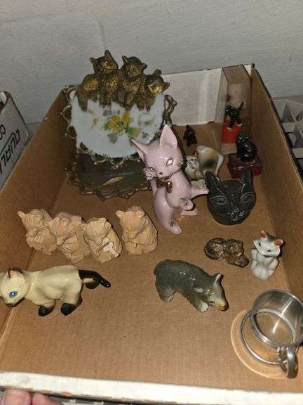 Cats, bear