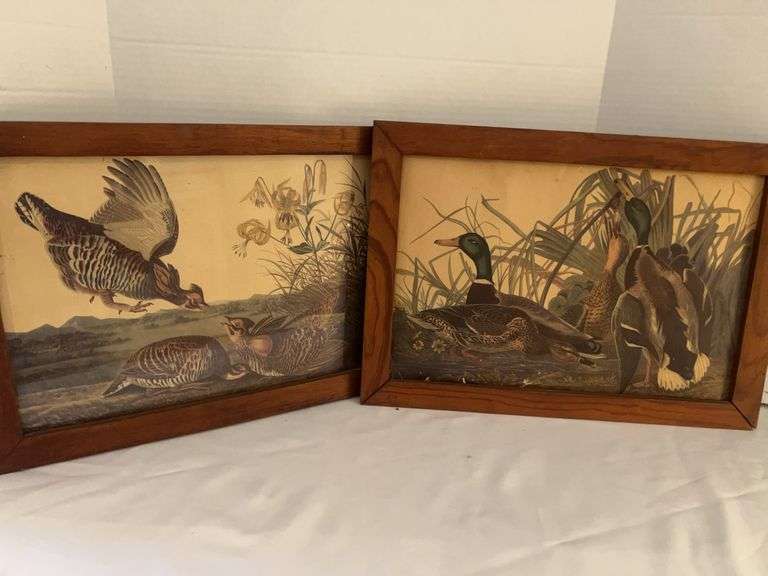 Audubon Duck & Grouse Prints