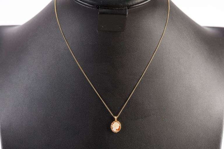 14k Gold Marked Chain and Cameo Pendant
