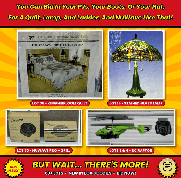 You Can Bid In Your PJs, Your Boots, Or Your Hat, For A Quilt, Lamp, And Ladder, And NuWave Like That!
