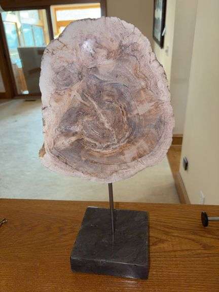 Petrified Wood Slice on Marble Base