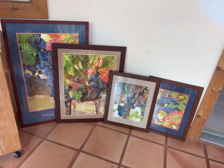 Framed Grape Vineyard Prints Collection