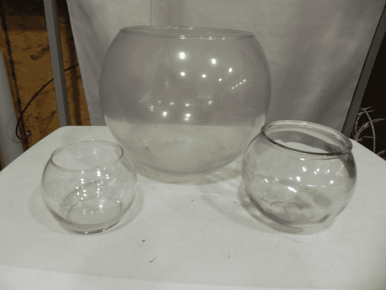 Fishbowl vases